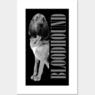 Bloodhound Posters and Art